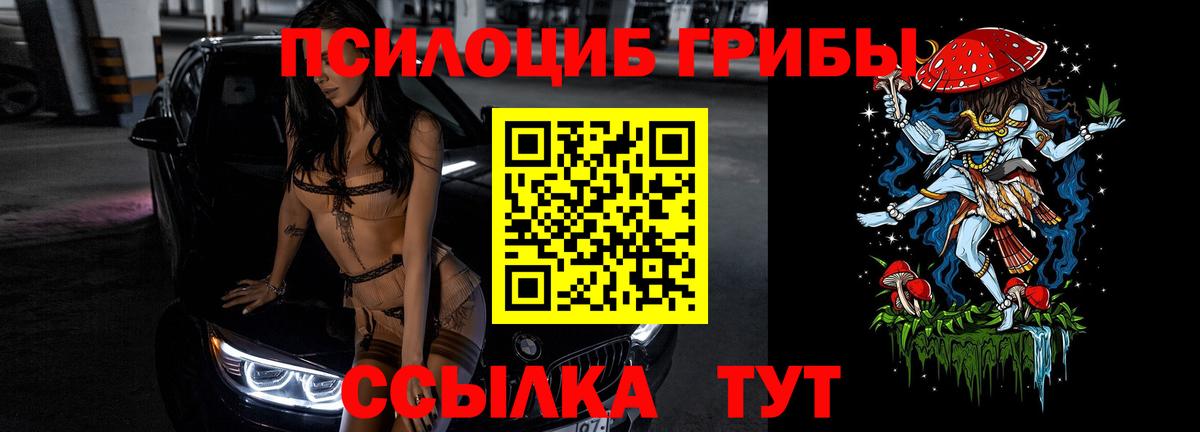 наркотики  Вход с VPN  Саянск  Галлюциногенные грибы Cubensis 